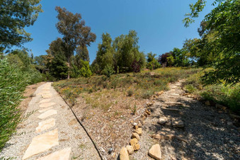 Enlarge photo 147