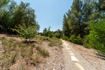 Enlarge photo 149