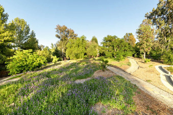 Enlarge photo 157