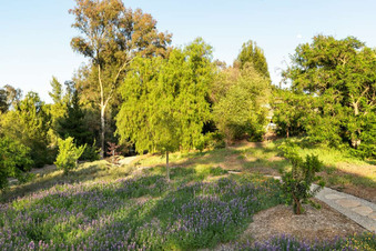Enlarge photo 158