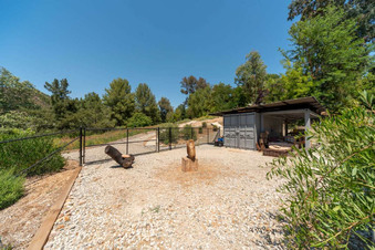 Enlarge photo 159