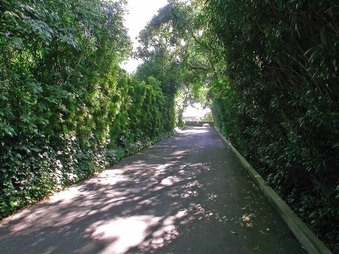Enlarge photo 8