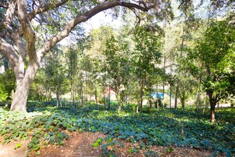 Enlarge photo 120