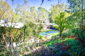 Enlarge photo 122