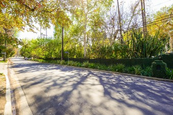 Enlarge photo 127