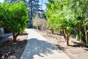 Enlarge photo 25