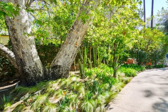 Enlarge photo 8