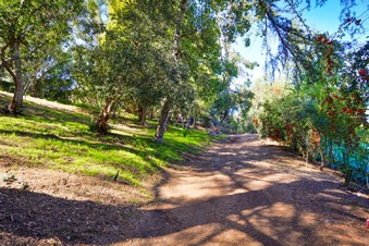 Enlarge photo 92