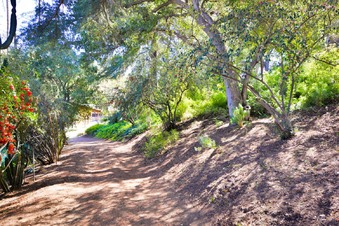 Enlarge photo 93