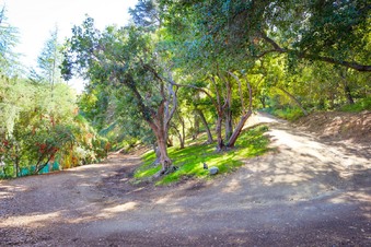 Enlarge photo 94