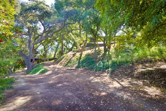 Enlarge photo 95