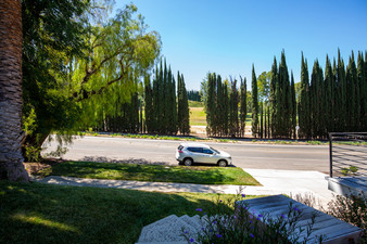 Enlarge photo 49