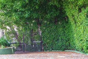 Enlarge photo 4
