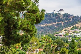 Enlarge photo 107