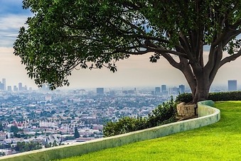 Enlarge photo 109