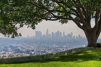Enlarge photo 110