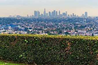 Enlarge photo 117