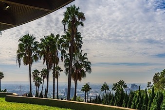 Enlarge photo 141