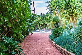 Enlarge photo 146