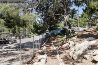 Enlarge photo 45