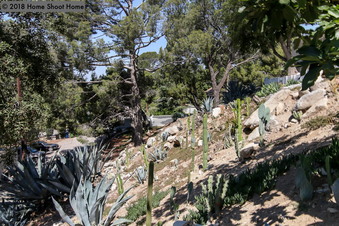Enlarge photo 47