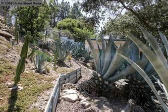Enlarge photo 48