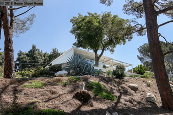 Enlarge photo 57