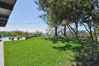 Enlarge photo 35