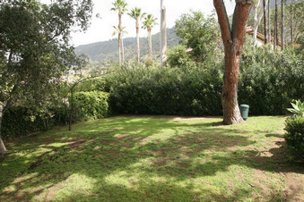 Enlarge photo 54