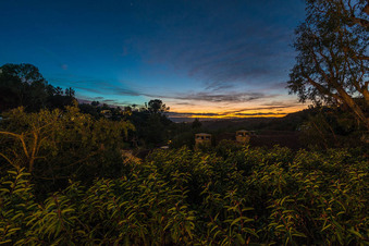Enlarge photo 59