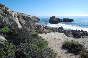 Hyundai "CHEWY" Locations 7-8-22