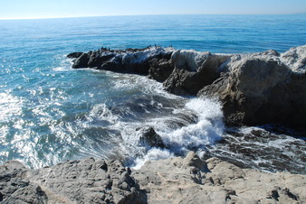 Enlarge photo 14
