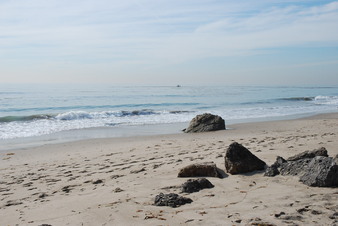 Enlarge photo 20