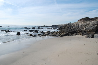 Enlarge photo 30