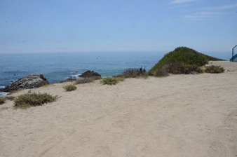 Enlarge photo 45