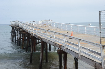 Enlarge photo 11