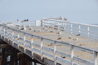 Enlarge photo 12