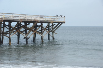Enlarge photo 36