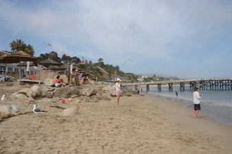 Enlarge photo 37