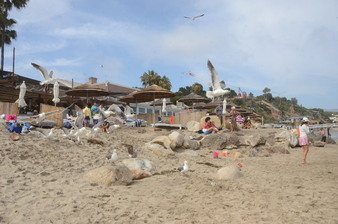 Enlarge photo 38