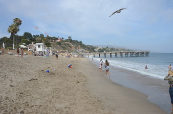 Enlarge photo 41