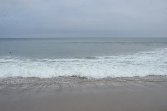 Enlarge photo 45