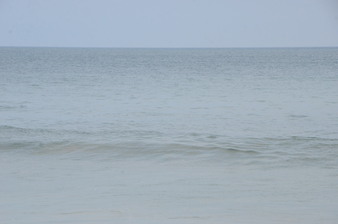 Enlarge photo 47