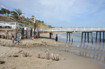 Enlarge photo 52