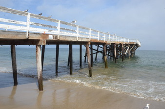 Enlarge photo 53