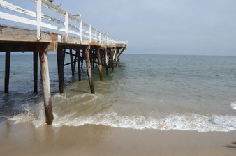 Enlarge photo 54