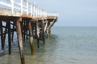 Enlarge photo 55