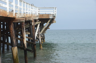 Enlarge photo 56