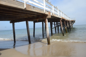 Enlarge photo 57
