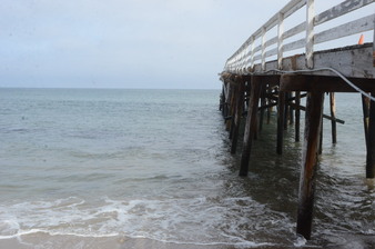 Enlarge photo 59